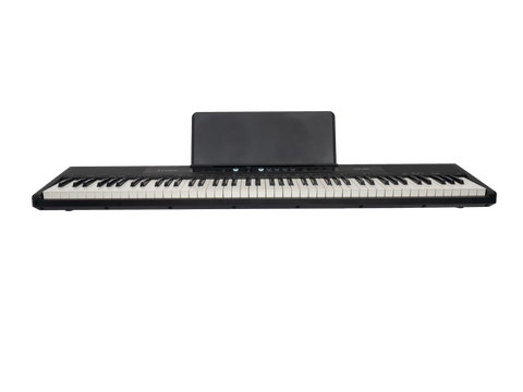 Crown P86 88-Key Touch Responsive Digital Piano (Black)