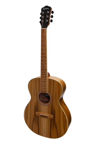 Martinez Acoustic Small Body Guitar (Jati-Teakwood)