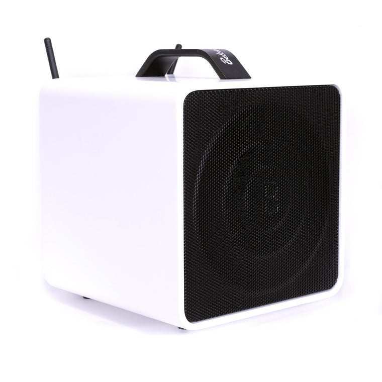 Belcat Compact 40 Watt Two-Channel Rechargeable Wireless PA System (White)