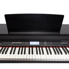 Crown A20 88-Key Touch Responsive Digital Piano (Black)