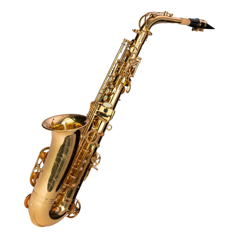 Steinhoff Advanced Student Alto Saxophone (Gold)