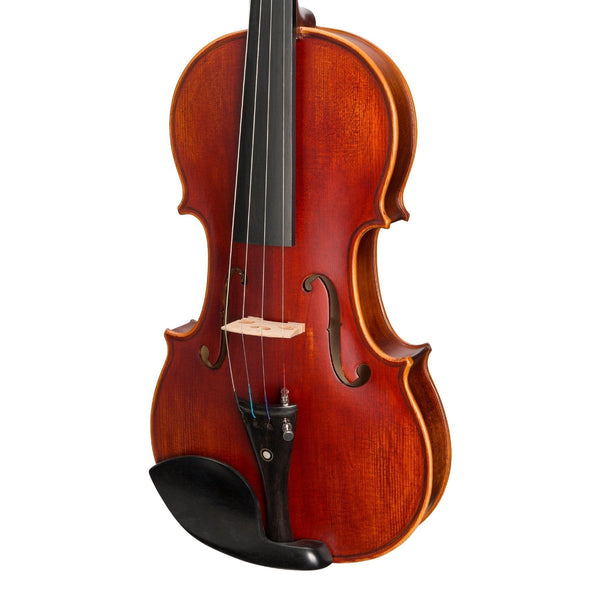 Steinhoff Full Size Advanced Student Solid Top Violin Set (Antique Finish)